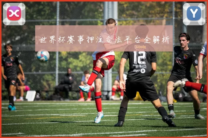 世界杯赛事押注合法平台全解析