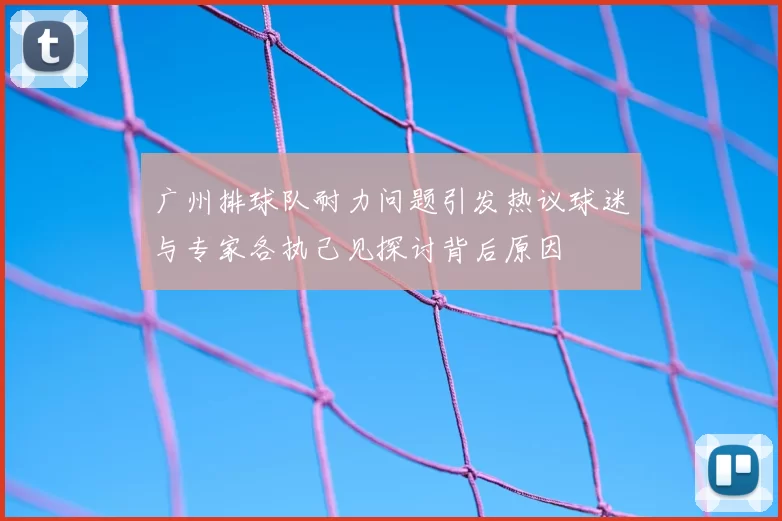 广州排球队耐力问题引发热议球迷与专家各执己见探讨背后原因