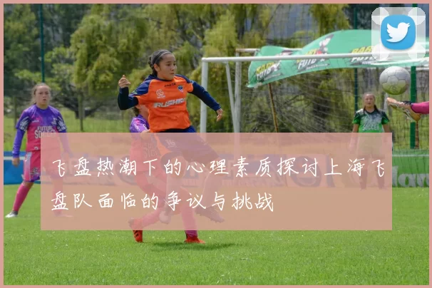 飞盘热潮下的心理素质探讨上海飞盘队面临的争议与挑战