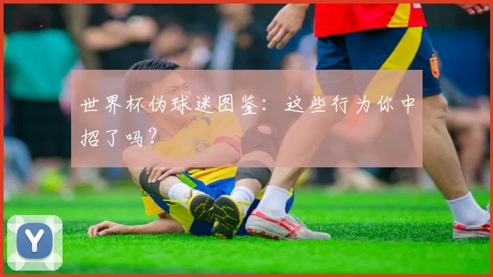 世界杯伪球迷图鉴:这些行为你中招了吗?