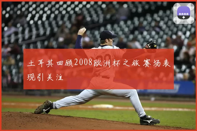 土耳其回顾2008欧洲杯之旅 赛场表现引关注
