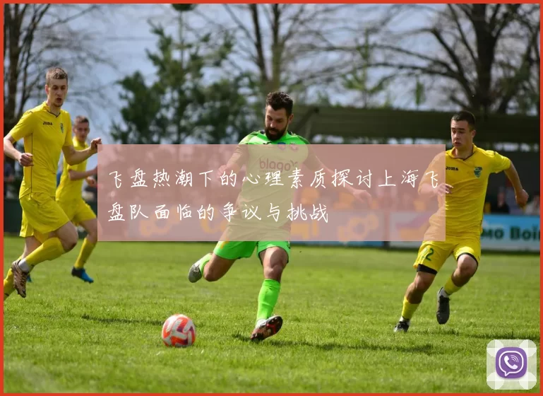 飞盘热潮下的心理素质探讨上海飞盘队面临的争议与挑战