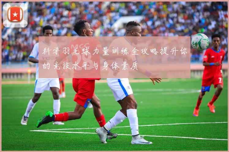科学羽毛球力量训练全攻略提升你的竞技水平与身体素质
