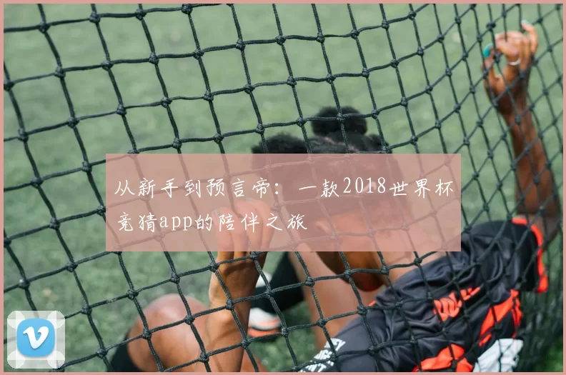 从新手到预言帝:一款2018世界杯竞猜app的陪伴之旅