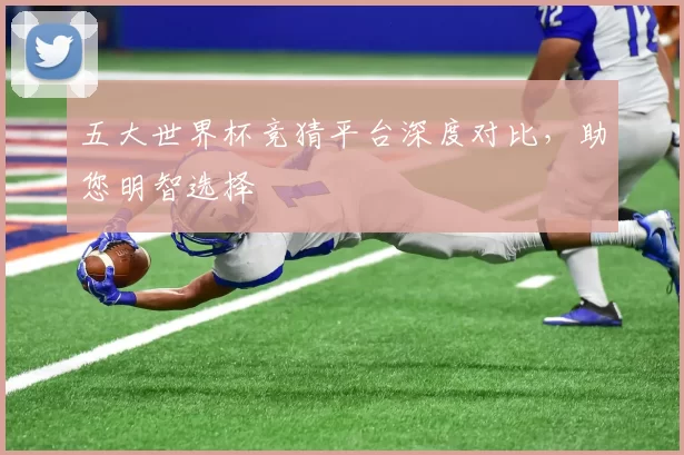 五大世界杯竞猜平台深度对比，助您明智选择