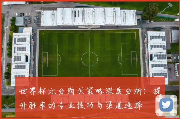 世界杯比分购买策略深度分析:提升胜率的专业技巧与渠道选择
