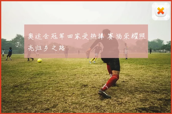 奥运会冠军回家受热捧 赛场荣耀照亮归乡之路