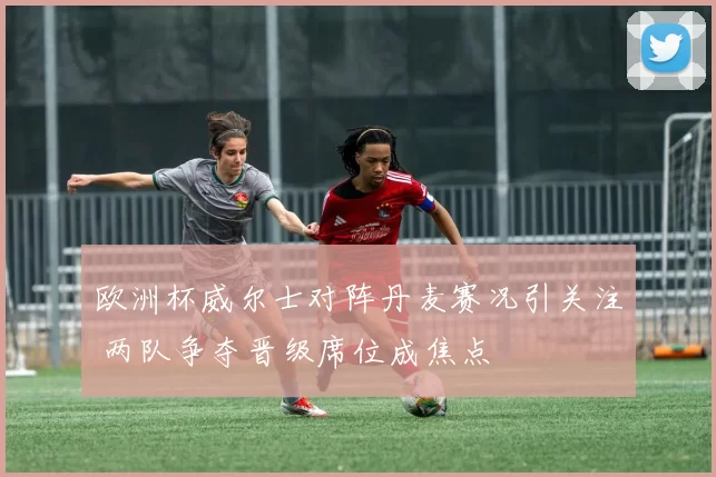 欧洲杯威尔士对阵丹麦赛况引关注 两队争夺晋级席位成焦点