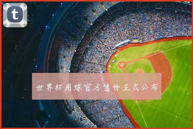 世界杯用球官方售价正式公布