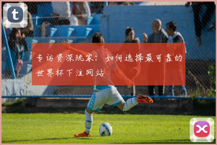 专访资深玩家：如何选择最可靠的世界杯下注网站