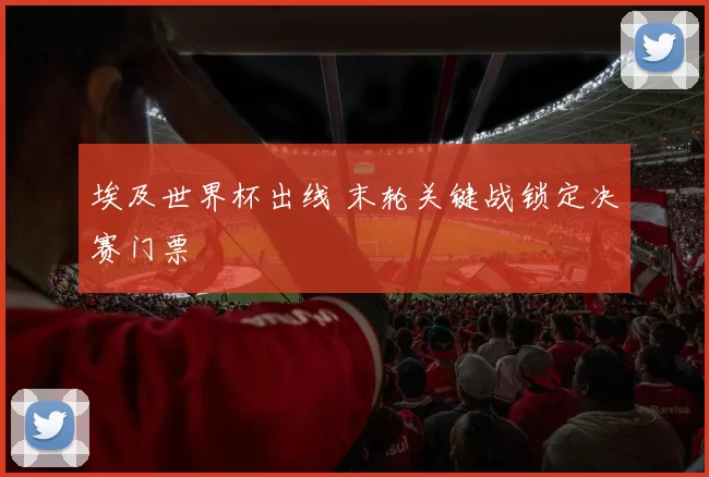 埃及世界杯出线 末轮关键战锁定决赛门票
