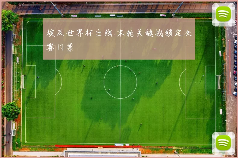 埃及世界杯出线 末轮关键战锁定决赛门票