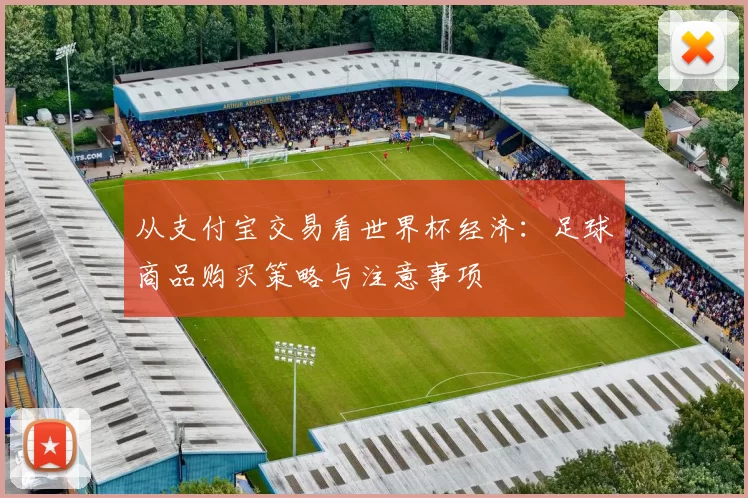 从支付宝交易看世界杯经济:足球商品购买策略与注意事项