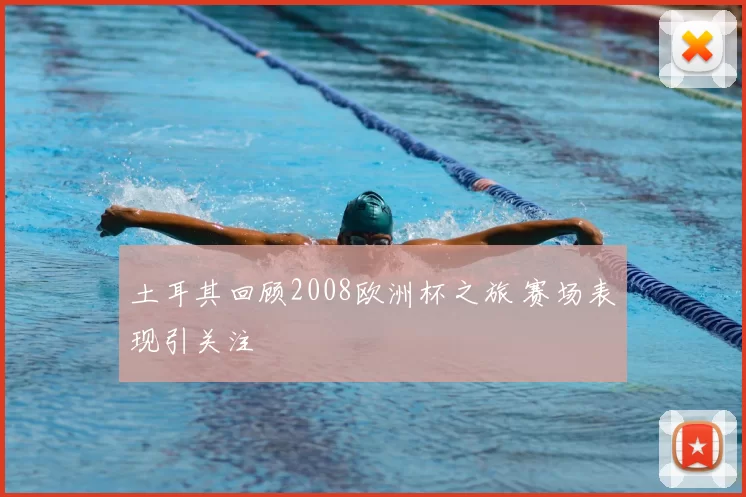 土耳其回顾2008欧洲杯之旅 赛场表现引关注