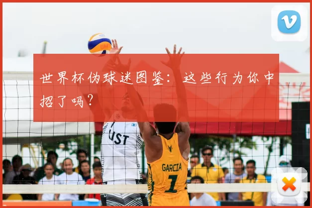 世界杯伪球迷图鉴:这些行为你中招了吗?