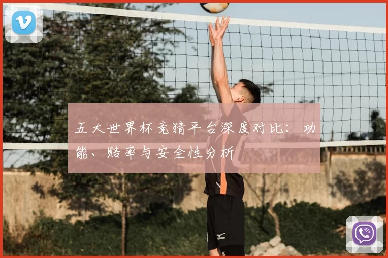 五大世界杯竞猜平台深度对比:功能、赔率与安全性分析