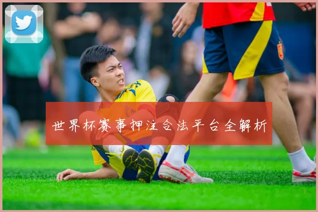 世界杯赛事押注合法平台全解析